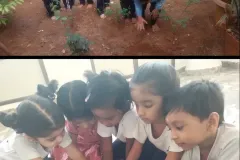 dec-manikonda-20252